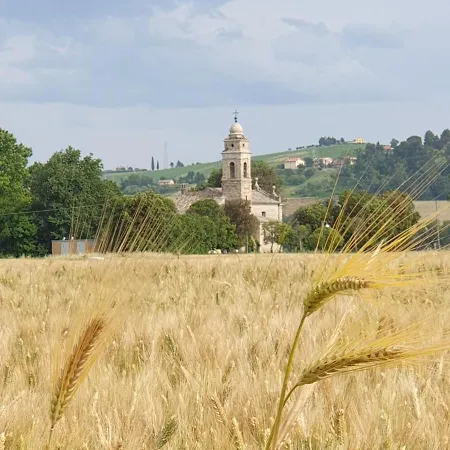 Guest house La Dolce 3*