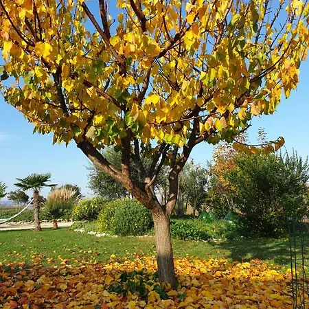 La Dolce Guest house Castelfidardo