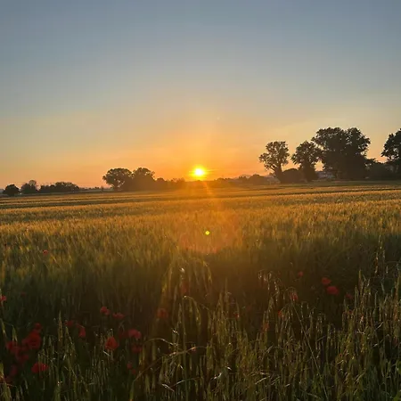 La Dolce Guest house 3*