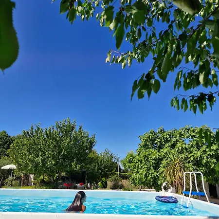 Guest house La Dolce 3*