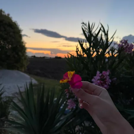 La Dolce Castelfidardo