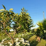 Casa de hóspedes La Dolce