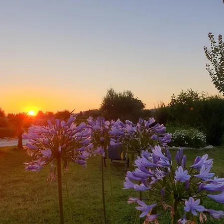 Maison d'hôtes La Dolce 3*