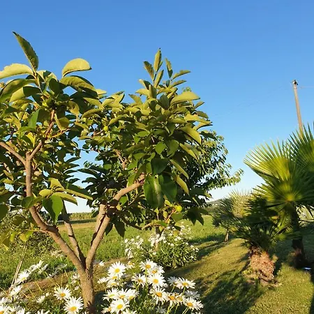 Maison d'hôtes La Dolce