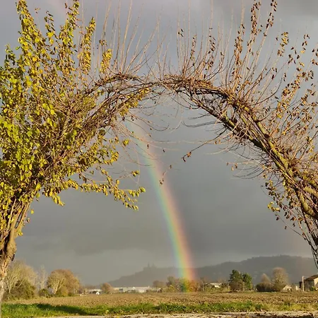 La Dolce בית הארחה 3*