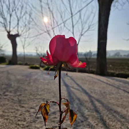 Affittacamere La Dolce
